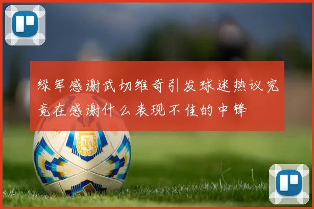 绿军感谢武切维奇引发球迷热议究竟在感谢什么表现不佳的中锋